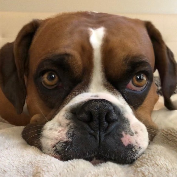 Meet your Posher, Stacy - Picture 3 of 3